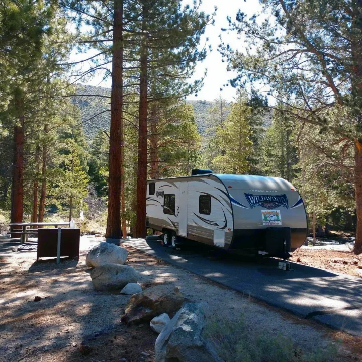 This RV rental, a Wildwood travel trailer, is parked at a scenic forest campsite with tall trees and a picnic area.. Forest River Wildwood 2018