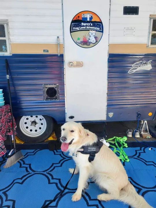 We are PET-FRIENDLY!. Shasta Other 1970