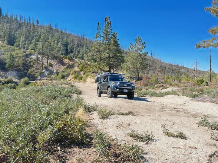 Adventure-ready RV rental: A truck camper on a scenic mountain dirt road through a recovering pine forest.. Four Wheel Campers Fleet 2021