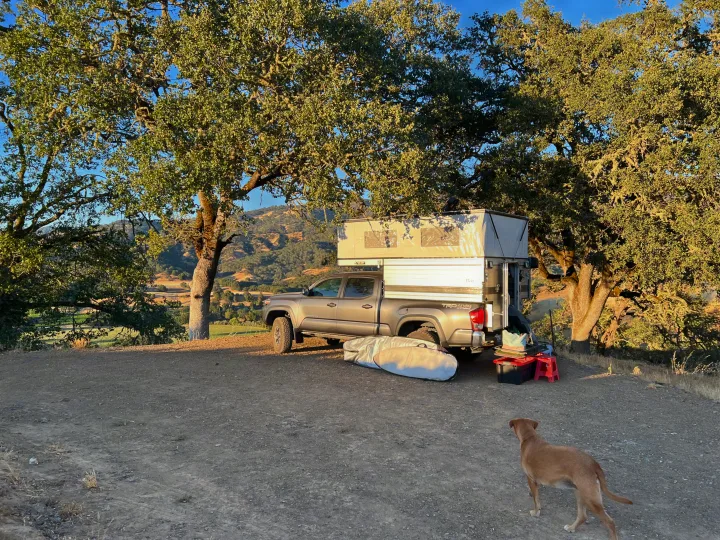 A brown truck camper (RV rental) with a dog on the roof & another on the ground, at a scenic oak campsite.. Four Wheel Campers Fleet 2021