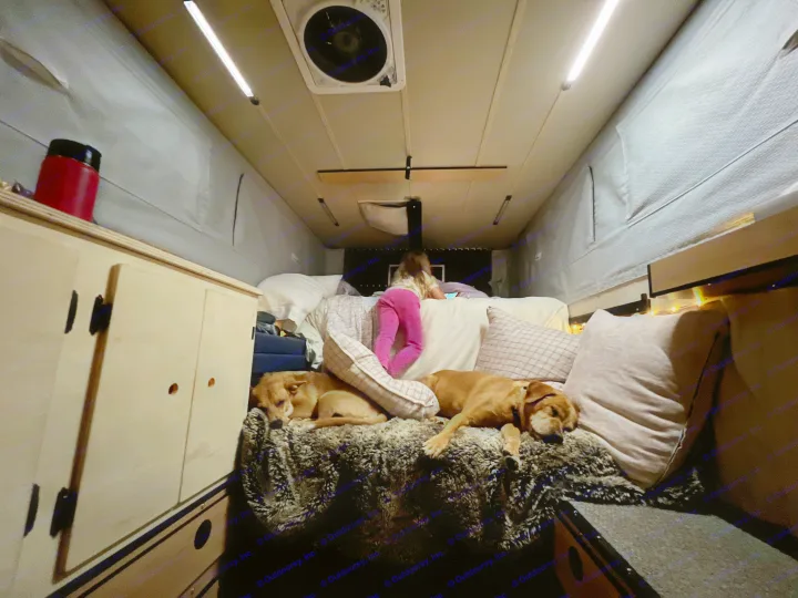 Cozy RV rental: A child and two dogs relax on a plush bed, illuminated by warm lights. Perfect for family adventures.. Four Wheel Campers Fleet 2021