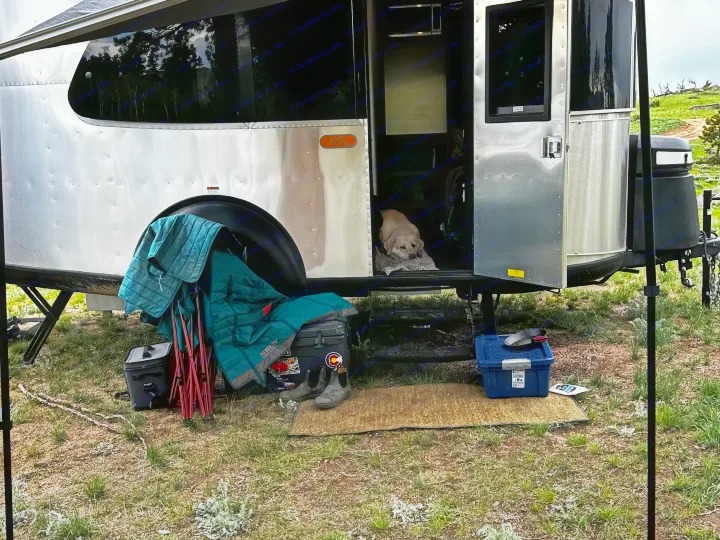 An Airstream Basecamp RV rental with a dog resting inside, surrounded by camping gear & nature.. Airstream Basecamp 2023