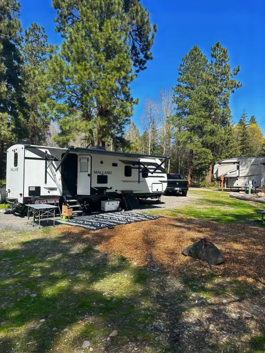 Serene rv rental campsite featuring a Mallard travel trailer, shaded by tall pines for a perfect outdoor retreat.. Heartland RVs Mallard 2021