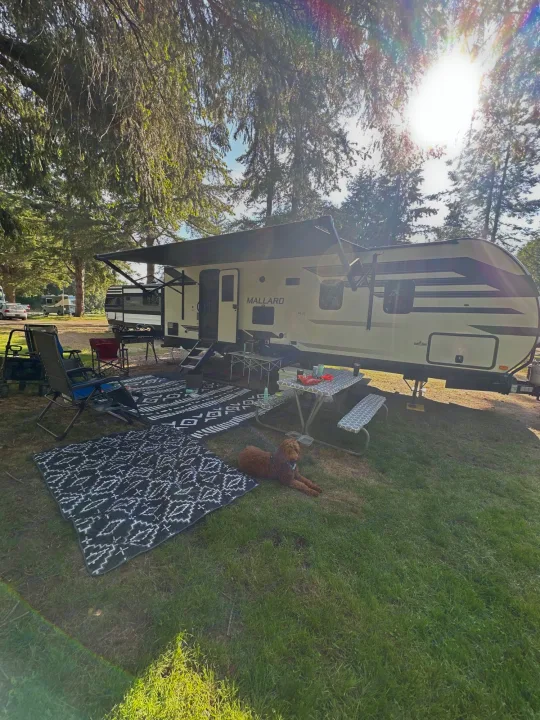 Perfect RV rental campsite scene: travel trailer with awning, outdoor rugs, picnic table, and a happy dog.. Heartland RVs Mallard 2021