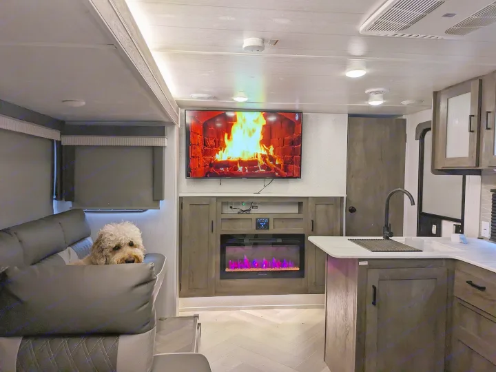 Inside a cozy RV rental: A fluffy dog relaxes on the couch, with a TV, electric fireplace, and kitchen visible.. Forest River Salem Cruise Lite 2022