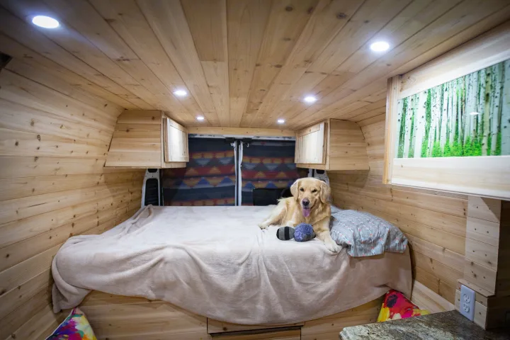 A golden retriever relaxes on a comfy bed in a cozy wood-paneled RV rental, ideal for dog-friendly van life adventures.. Dodge Sprinter Van 2016