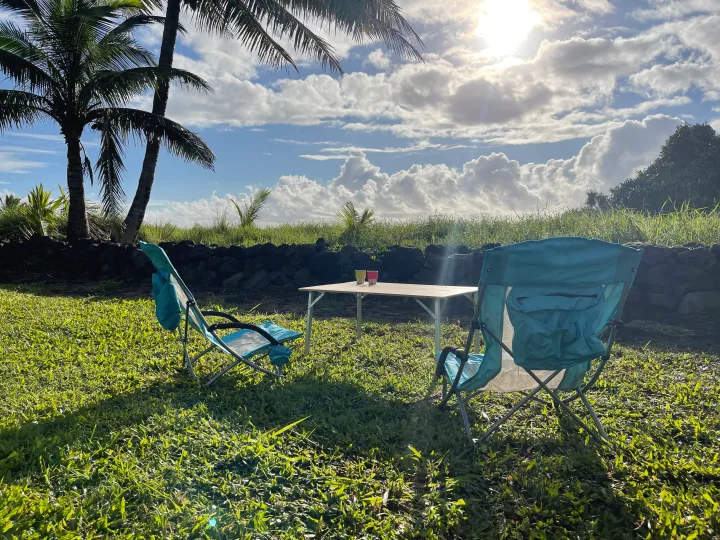 Sunny day at an outdoor retreat: two teal chairs & table on grass near palm trees. Ideal for your RV rental adventure.. Toyota Other 2006