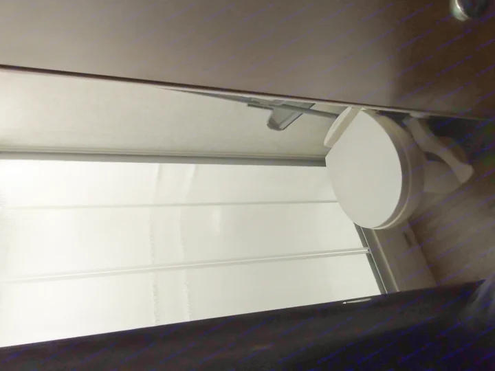 RV rental bathroom with white toilet and translucent window/shower wall, providing compact privacy.. Forest River Forester 2018