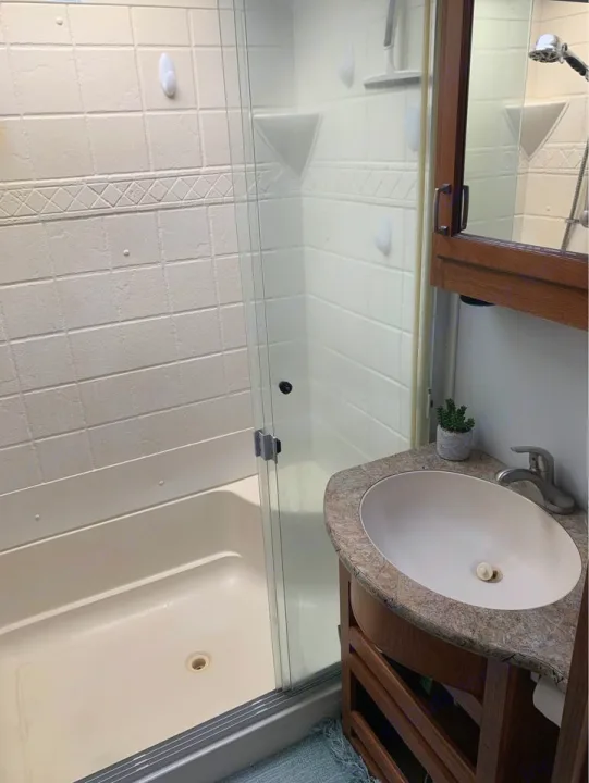 Experience comfort in this RV rental's compact bathroom, complete with a glass-enclosed shower and a modern sink vanity.. Forest River Palomino Sabre 2015