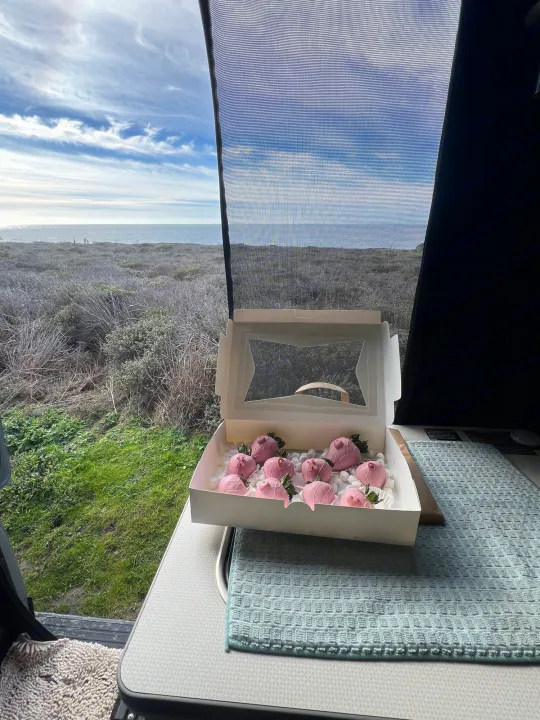 Pink chocolate-covered strawberries are on a table inside an RV rental, overlooking a scenic ocean coast.. Winnebago Solis BUT59P 2024