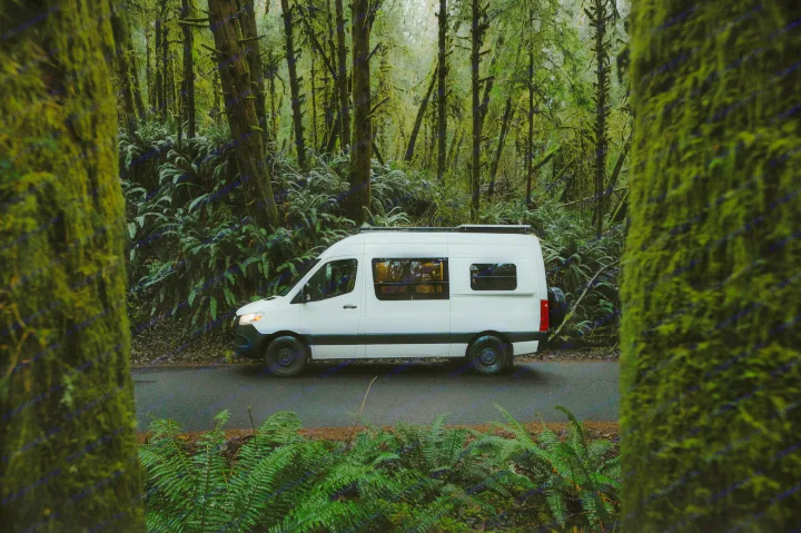 A white RV rental camper van parked on a forest road amidst moss-laden trees and vibrant ferns.. Mercedes-Benz Sprinter 2021