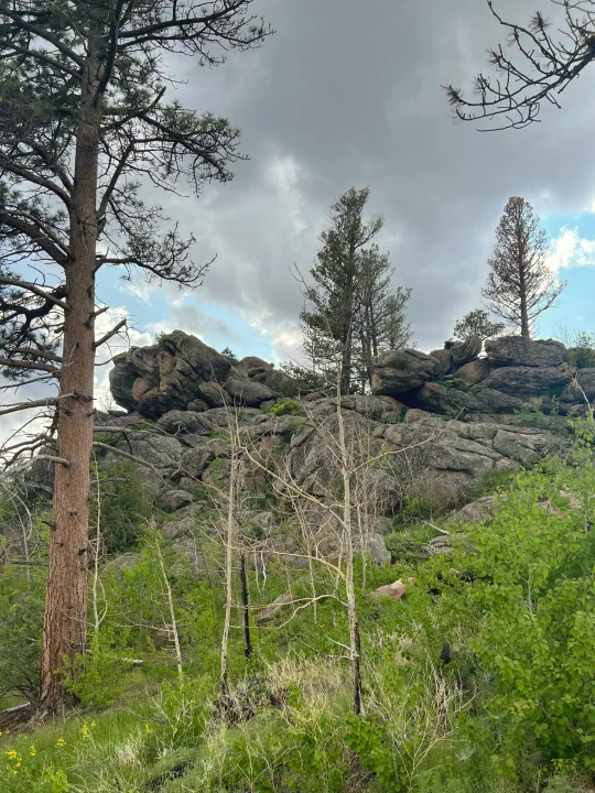 Scenic mountain landscape with large rocks and diverse trees; ideal for an RV rental trip.. Thor Inception 2023
