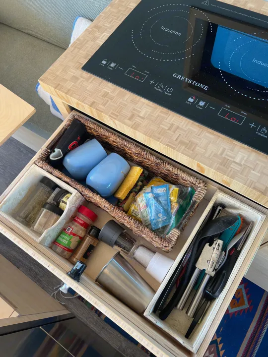 Compact RV rental kitchen with Greystone induction cooktop showing 'Lo', and open drawer revealing organized spices, cups, & utensils.. Ford Transit 2022
