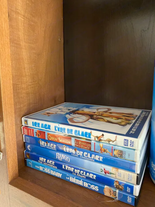 Family animated movie DVDs stacked in an rv rental. Ice Age, Open Season, Rango & Boss Baby provide entertainment on the road.. Jayco Jay Flight SLX 2017