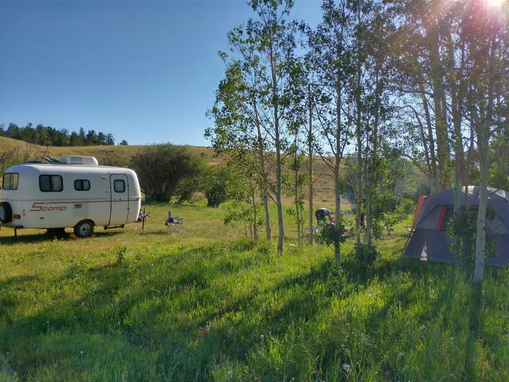 Experience camping! An RV rental (Scamp travel trailer) beside a tent & grill setup in a sunny, green field.. Scamp Scamp Trailer 2011