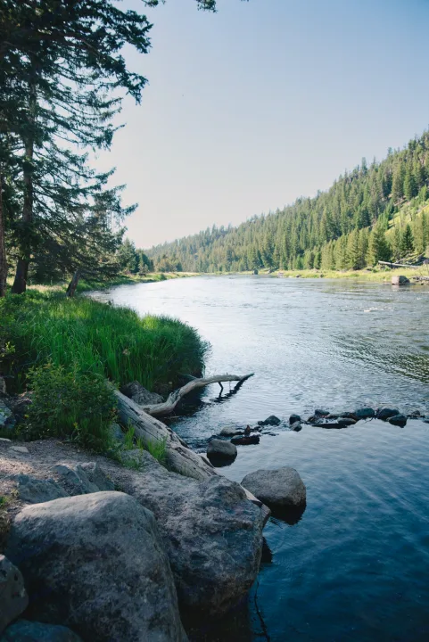 This serene river flowing through dense forests offers stunning views. Imagine this on your RV rental journey, a perfect nature escape.. Vandoit Vandoit Class B 2020