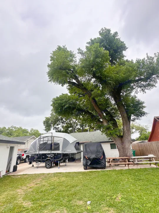 An Opus camper trailer, ideal for RV rental, set up on a driveway. Features a large tree, covered vehicle, & picnic tables.. OPUS Opus4 2024