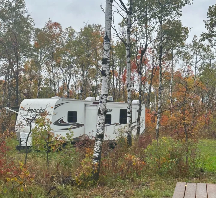 White RV rental parked amidst aspen trees with autumn foliage. Ideal for fall camping trips.. Forest River Tracer Executive 2010