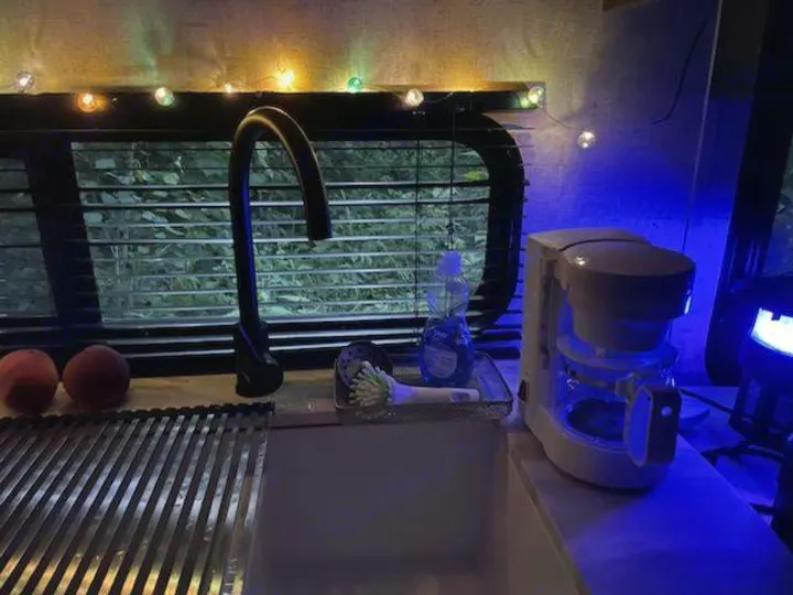 Cozy RV rental kitchen featuring a coffee maker, sink, string lights, and ambient blue lighting for comfortable travel.. Forest River Wildwood X-Lite 2020