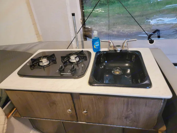 An RV rental's compact kitchen: a two-burner stove, black sink with soap, and wood-grain cabinets below.. Forest River Coachmen LS 2020