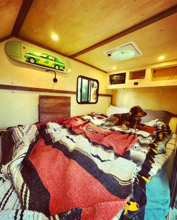 Cozy RV interior: a happy dog rests on a vibrant patterned bed. Experience comfort on your RV rental journey.. Custom Retro 2023