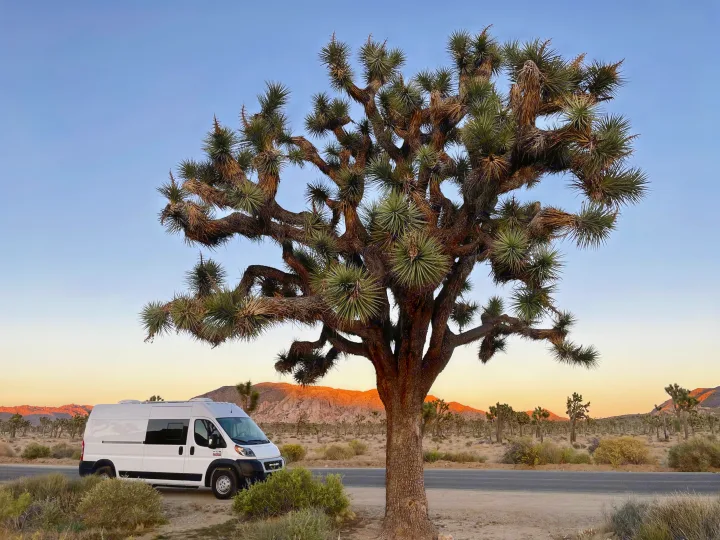A white RV rental is parked next to a large Joshua Tree, with a golden hour desert landscape & mountains beyond.. Dodge Ram ProMaster 2500 2021