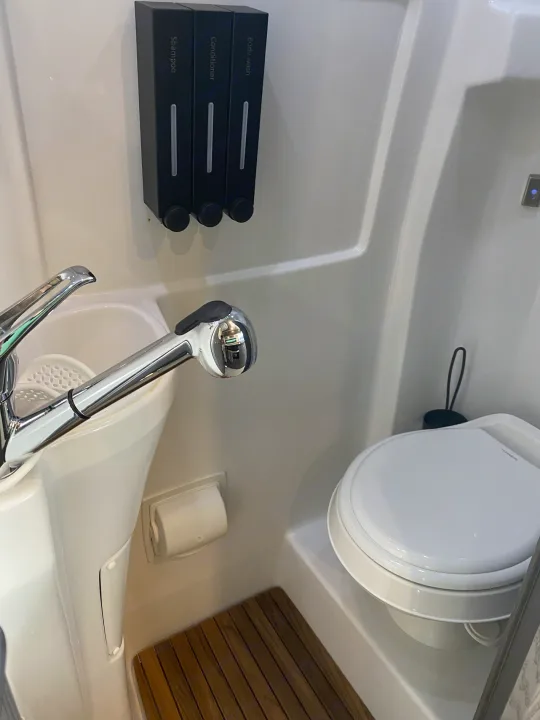 Step into your rv rental's compact bathroom, featuring a versatile shower-sink, toilet, and wall-mounted toiletries.. Airstream Interstate 2021
