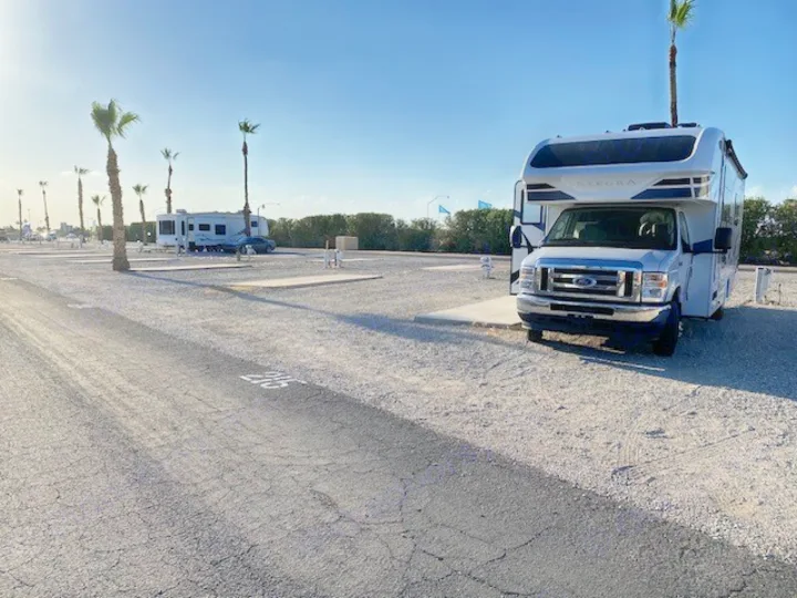 White Class C RV rental parked at site 217 in a sunny gravel RV park, with palm trees & empty spots.. Entegra Coach Odyssey 2021