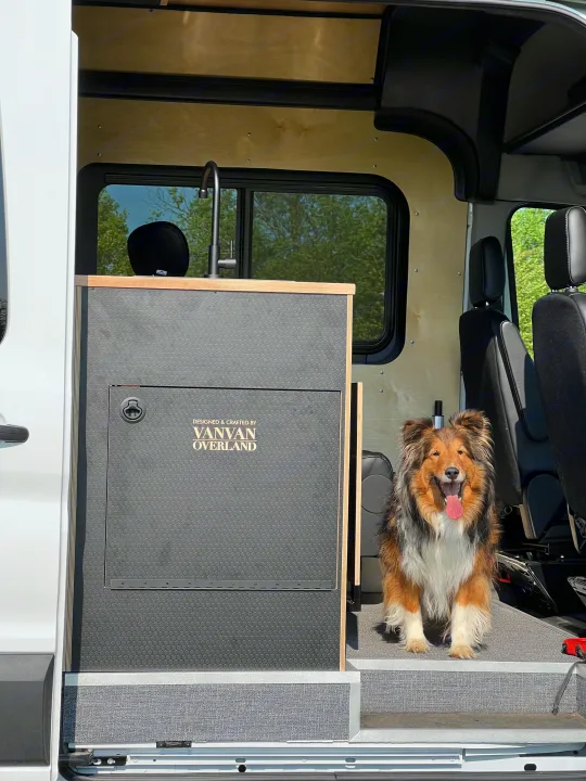 A joyful Sheltie-type dog smiles from a custom rv rental campervan, featuring a modern kitchen and wood paneling.. Ford Transit 2023