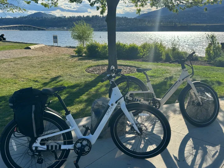 White e-bikes by a shimmering lake, mountains, and bridge. Ideal for outdoor adventures on your RV rental trip.. Ebike 500 Watt 2024