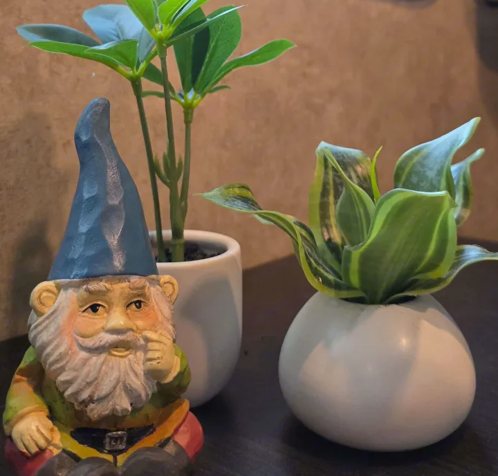 Thinking gnome statue and two small potted plants add cozy charm to an RV rental space.. Jayco Jay Feather 7 XRB 2016