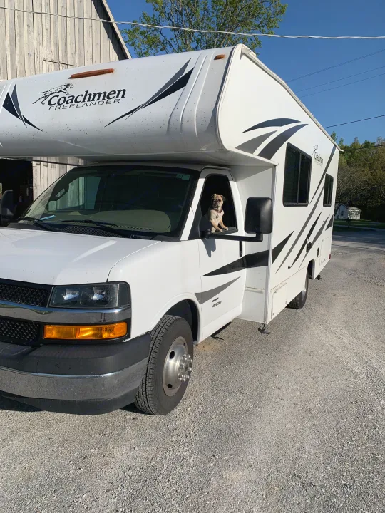 A cheerful pug peeks from a white Coachmen Freelander RV rental, parked on gravel. Ready for travel!. Coachmen Freelander 2020