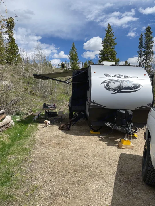 A silver RV rental (Wolf Pup travel trailer) is parked at a gravel campsite with two dogs, a picnic table, and forest views.. Forest River Cherokee Wolf Pup Black Label 2022