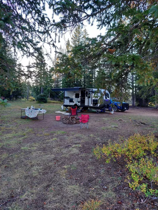 A serene RV rental campsite among pine trees, featuring a travel trailer, fire pit, chairs, and a dining table for outdoor living.. Forest River Palomino Real-Lite Mini 2021