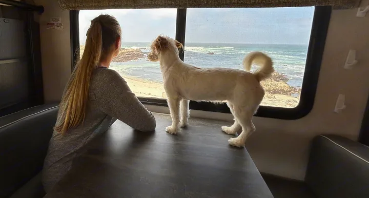 RV rental travelers: A woman & her dog enjoy a stunning ocean view with crashing waves from their camper's table.. Forest River Forester 2021