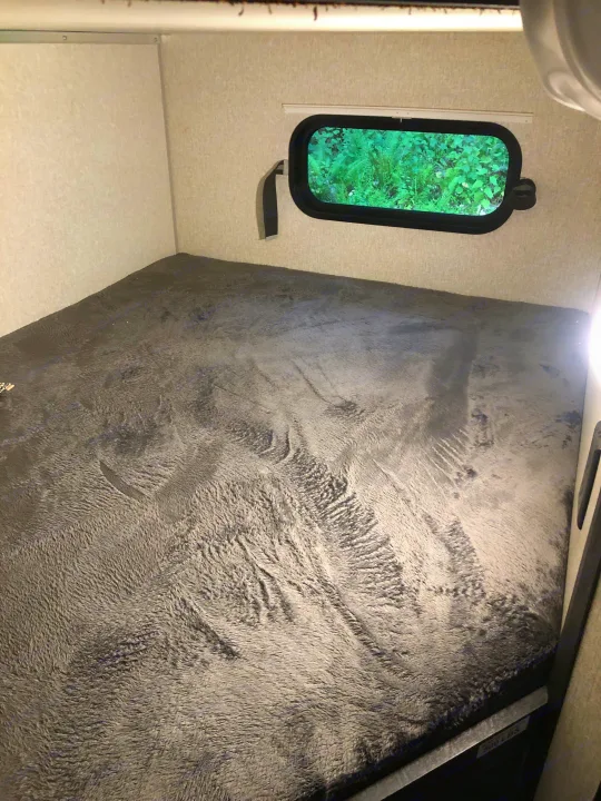 Cozy RV rental bunk bed featuring a soft grey mattress, ideal for camping adventures, with a window view of foliage.. KZ Sportsman SE 2022