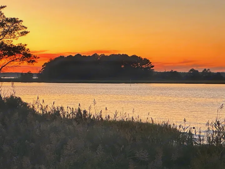 Golden orange sunset over calm water, with silhouetted trees & reeds. Imagine this view from your cozy RV rental.. Thor Chateau 2016