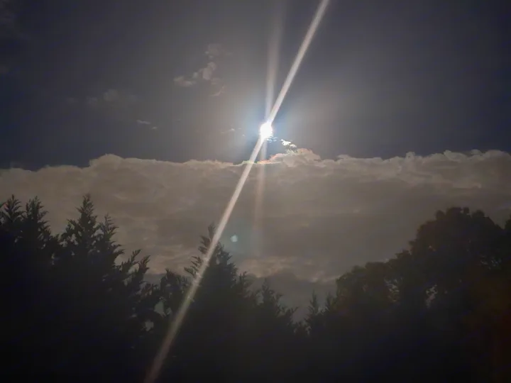 Bright sunbeams pierce through clouds above dark trees. Ideal for an RV rental trip enjoying natural outdoor beauty.. Thor Chateau 2016