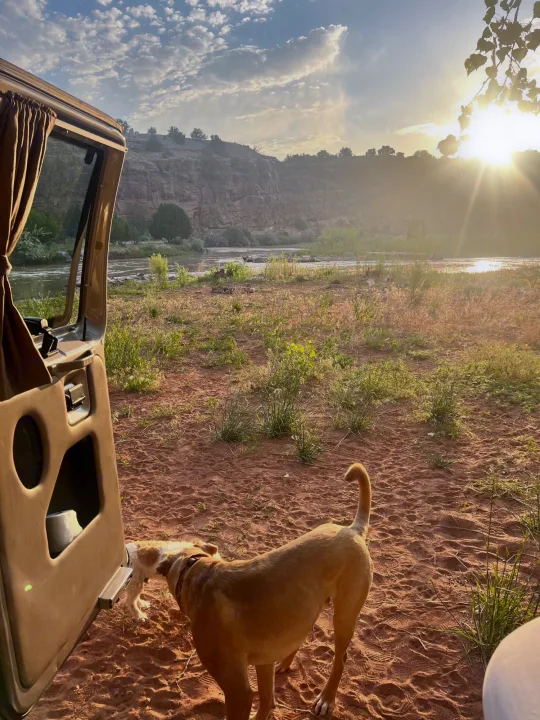 Dogs by open RV rental camper van door, enjoying river views at sunrise/sunset. Pet-friendly outdoor adventure awaits!. Ford Pleasure Way Xl Rd Widebody 2002