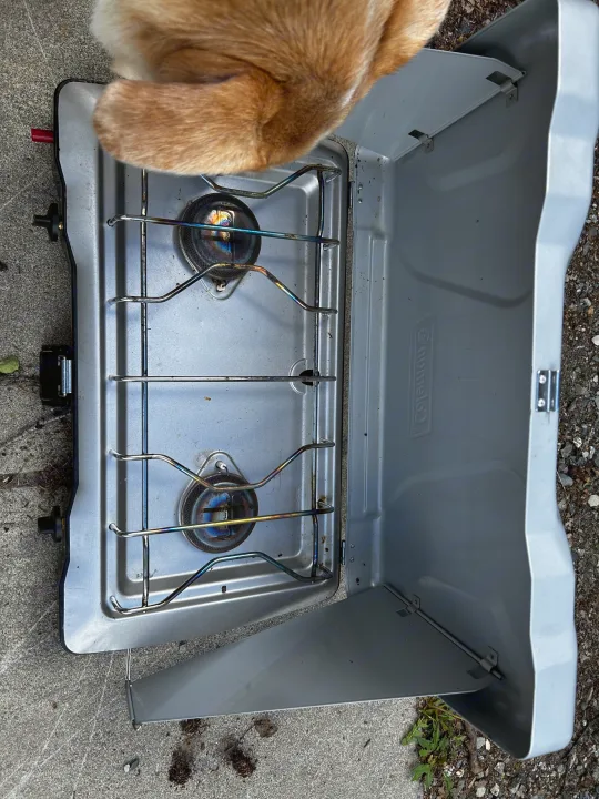 Prepping for your RV rental adventure? A pet watches over a two-burner Coleman portable camping stove.. Dodge Ram 1500 2017