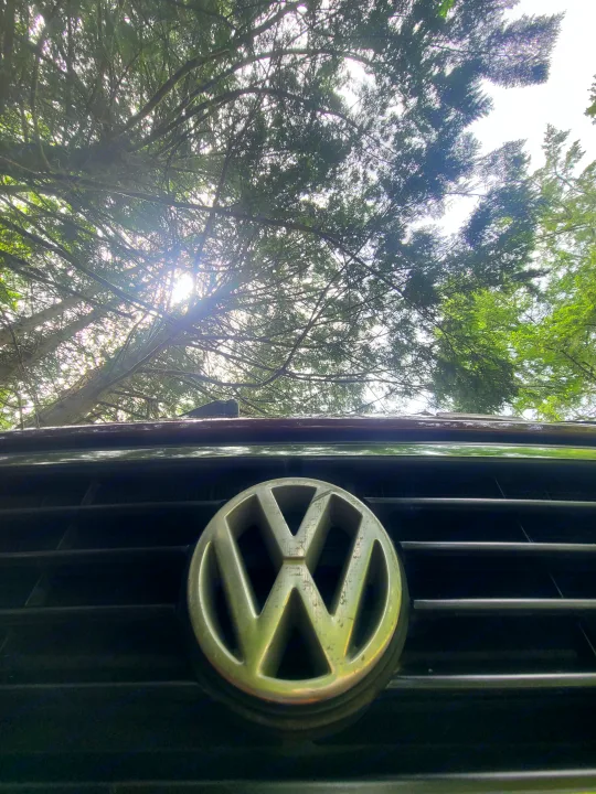 Upward view of a Volkswagen RV rental's emblem, with sun-dappled green trees forming a dense canopy above.. Volkswagen T3 Mulitvan 1991