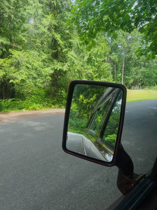 RV rental view through side mirror: green forest lines the road, reflecting the vehicle's side.. Volkswagen T3 Mulitvan 1991