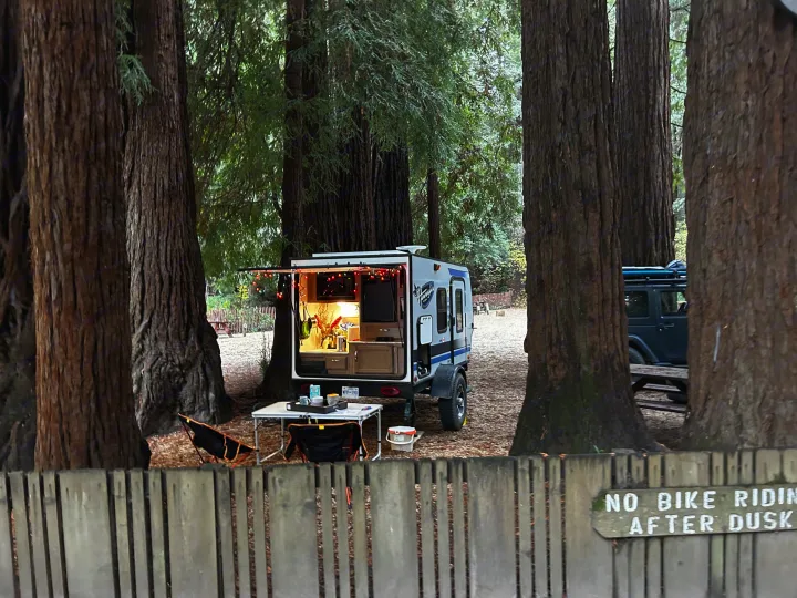 An RV rental's illuminated kitchen hatch open for cozy camping among towering redwood trees in a peaceful forest setting.. Jayco Hummingbird 2019