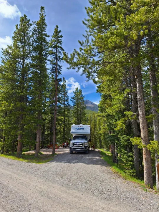 RV rental truck camper parked at a scenic forested campsite, surrounded by tall pine trees with mountains and blue sky in the background.. Glacier Campers Truck Camper 2016