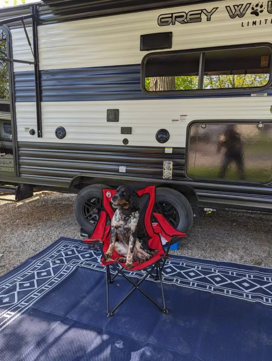A charming dog relaxes in a red camping chair next to a White and Blue Grey Wolf RV rental on a dark blue mat.. Forest River Cherokee Grey Wolf 23DBH 2024