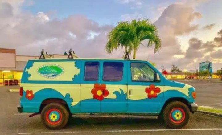 Catch this vibrant, custom Mystery Machine-style RV rental van, parked under a palm tree, ready for fun travel!. Ford E250 Eagle Camper 2006