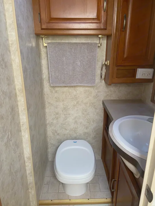 Inside an RV rental bathroom, showing a white toilet, sink, wood cabinets, and patterned walls. Amenities for travel.. Fleetwood Terra 2003