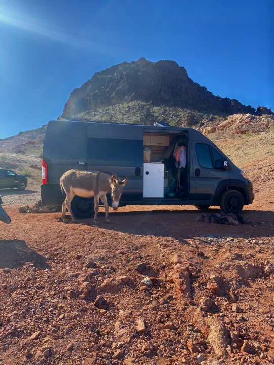 RV rental camper van in a sunny desert, a wild donkey stands nearby. Mountains in background.. RAM Promaster 2300 2023