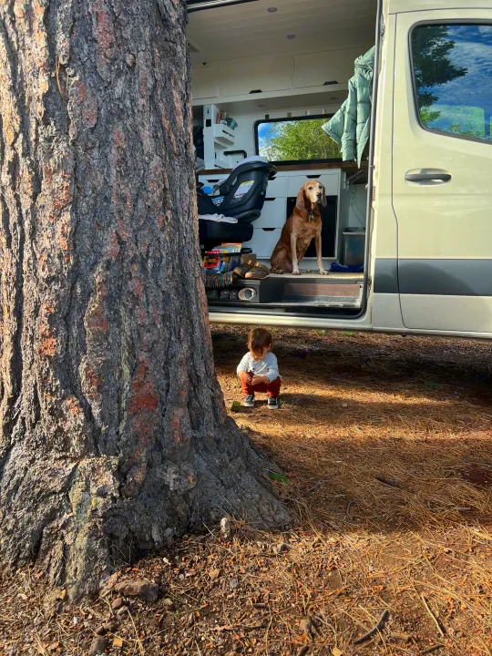 Family adventure with rv rental: A child plays by a tree, a dog waits in the custom camper van.. Mercedes-Benz Sprinter 2020