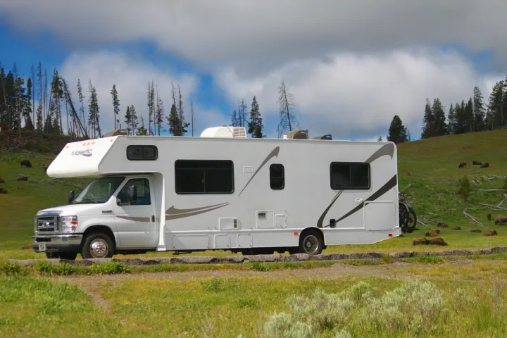 Yellowstone RV rental: White RV with bikes parked as bison graze on a grassy hill under cloudy skies.. Thor Majestic 2019